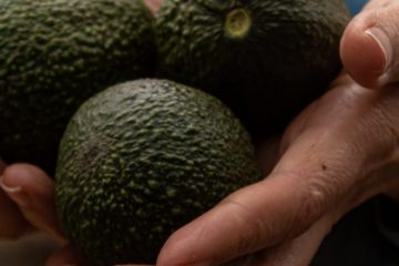 cropped-12-manos-de-Mónica-scaled-1.jpg