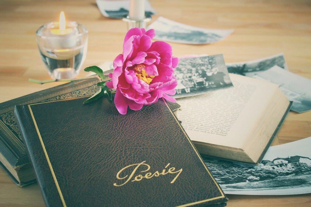 "¿Qué obra dramática, en el campo del teatro, de la novela o de la poesía colombiana ha dicho cosas que de verdad inspiren a las nuevas generaciones literarias?" Imagen / Lolame en Pixabay